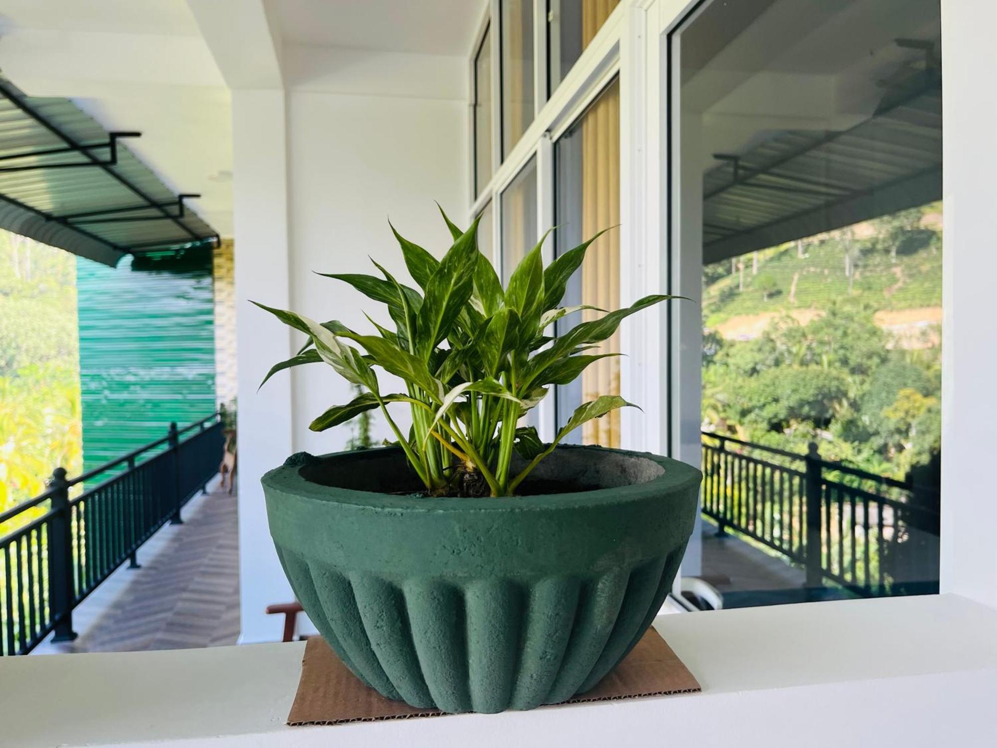 Viyanga Homestay Ella Buitenkant foto