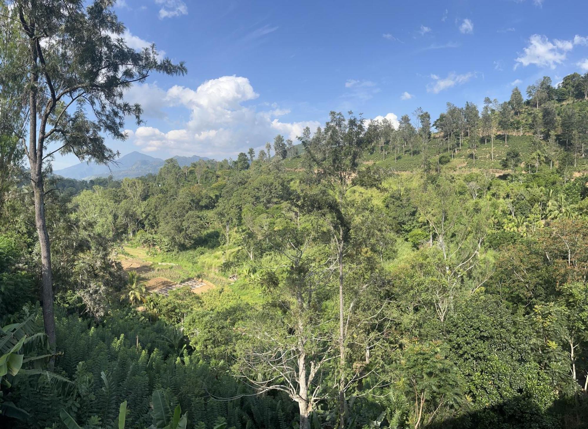 Viyanga Homestay Ella Buitenkant foto