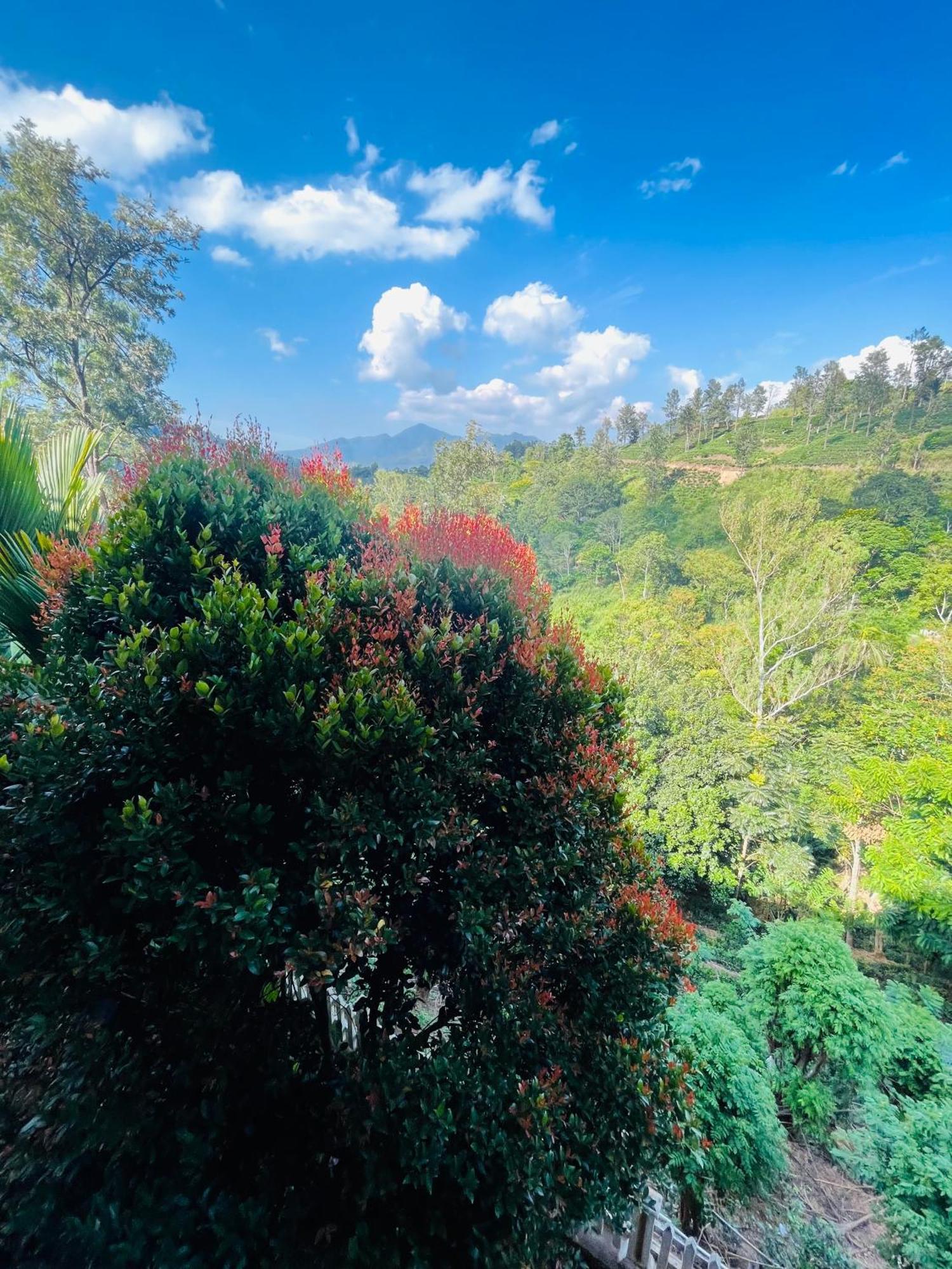 Viyanga Homestay Ella Buitenkant foto