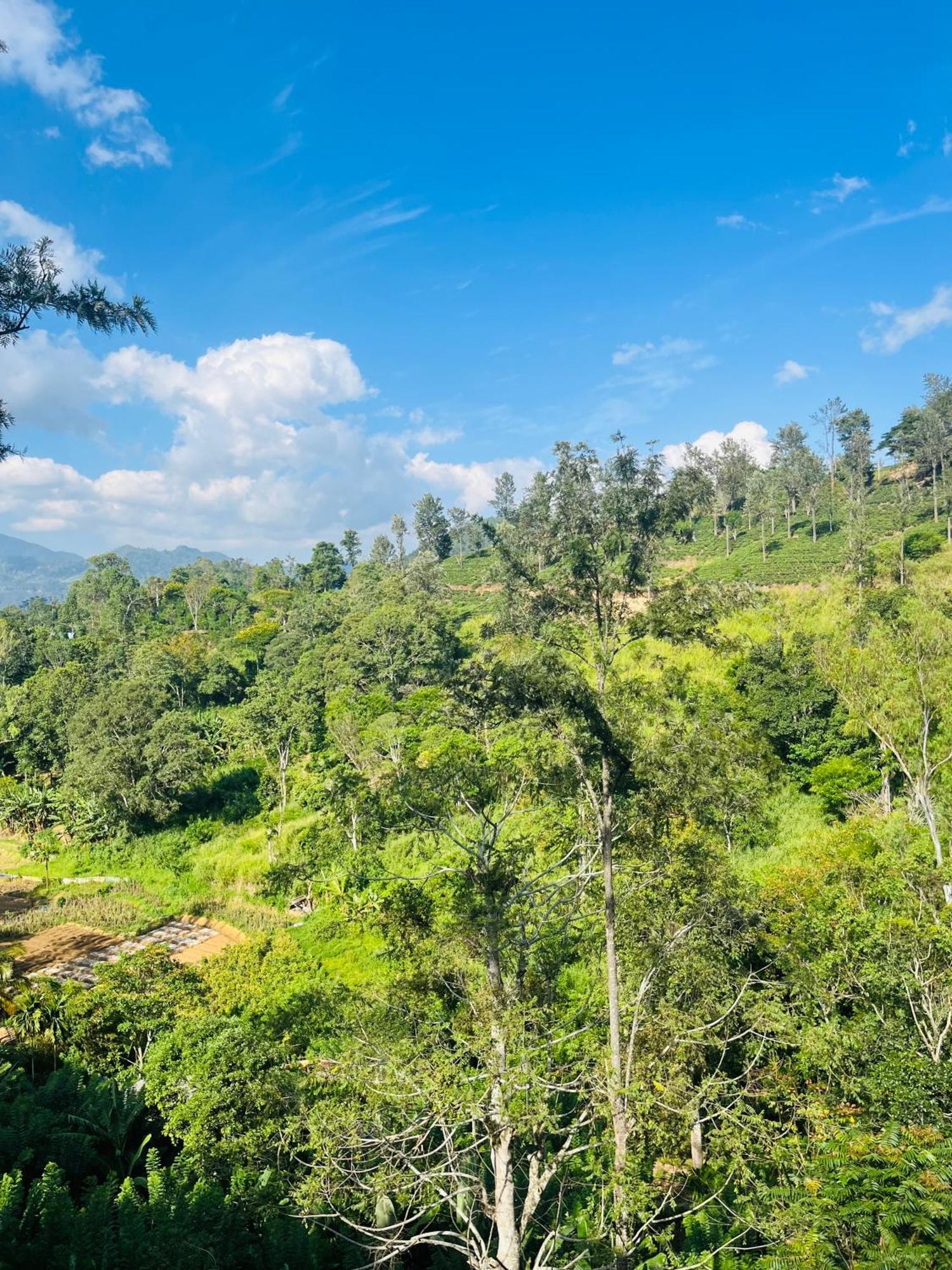 Viyanga Homestay Ella Buitenkant foto